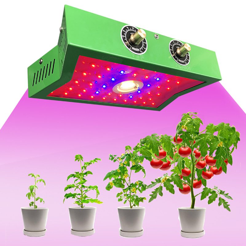 1200w Full Spectrum Led Plant Grow Light För Inomhusgrönsak 85-265v