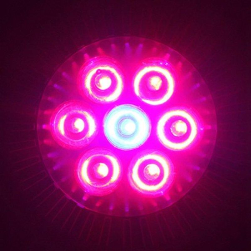 21w E27 Röd + Blå Led Plant Grow Light Lampa Blomma Hydroponic Globe Bulb 85-265v