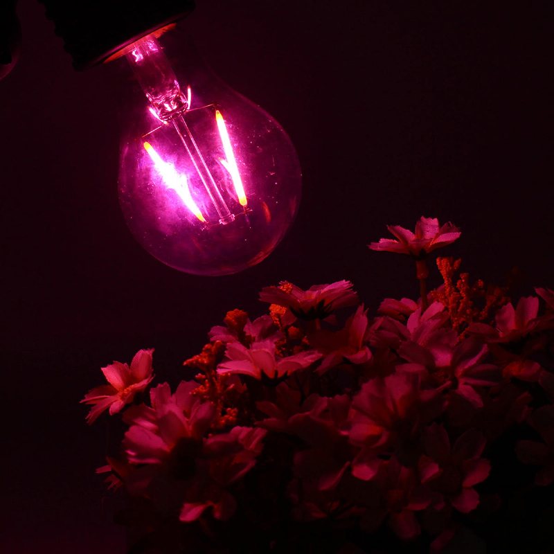 2w E27 B22 A60 Led Plant Grow Glödlampa För Hydroponics Växthus Ej Dimbar Ac85-265v