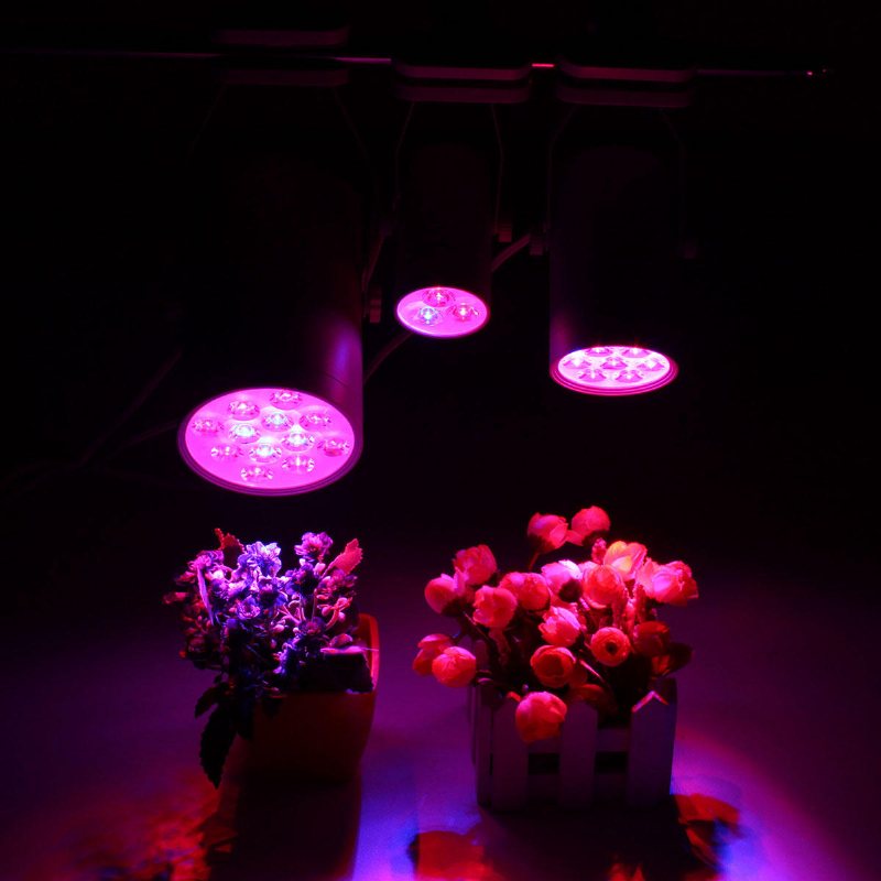 3w 7w 12w Led Plant Lights Grow Lamp Flood Kompletterande Ljus