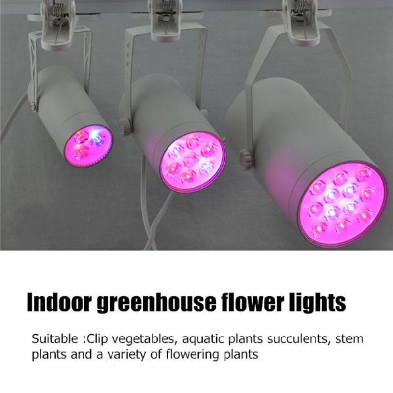 3w 7w 12w Led Plant Lights Grow Lamp Flood Kompletterande Ljus