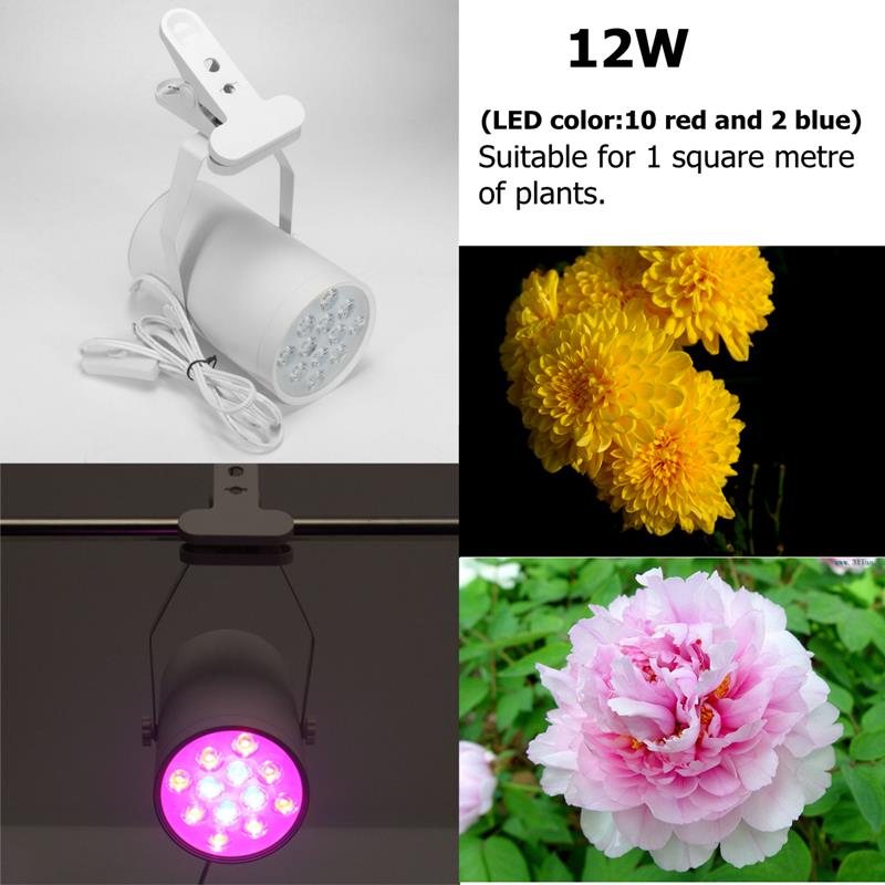 3w 7w 12w Led Plant Lights Grow Lamp Flood Kompletterande Ljus