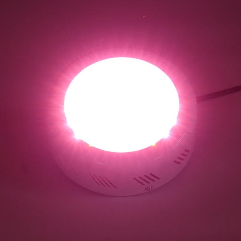 40w Full Spectrum Ufo 50 Led Plant Light Indoor Hydroponics Grow Lamp För Grönsaksblomma Ac85-265v