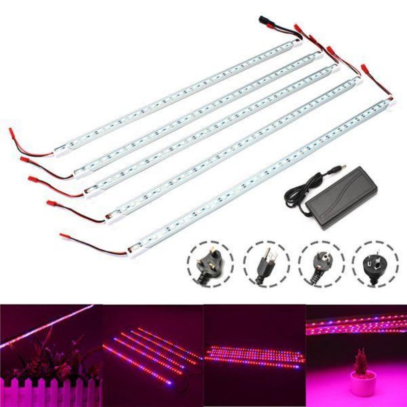 5 St 50cm Smd5050 Icke-vattentät 5:1 Led Strip Light + 5a Nätadapter För Grow Plant Garden Dc12v
