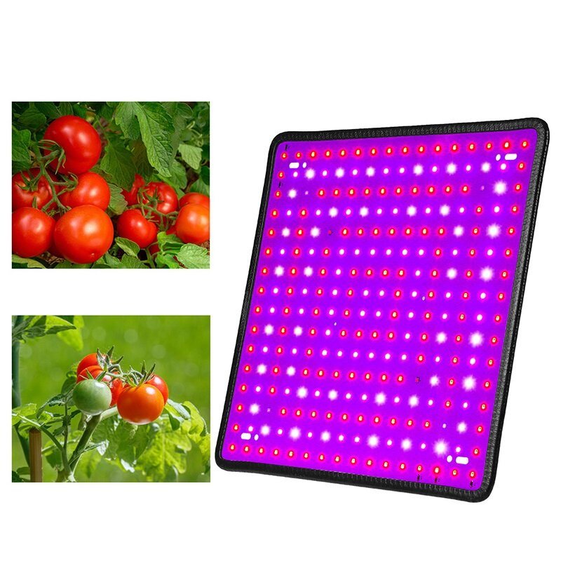 5000w Led Full Spectrum Plant Uv Grow Light Veg Växande Lampa Inomhus Hydroponic