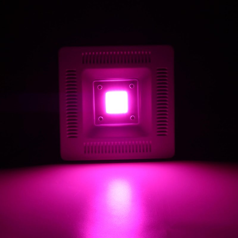 50w Cob Led Square Full Spectrum Grow Light Vattentätt Ip64 Flood Lamp Plant Blomma Hydroponiskt Växthus Inomhus