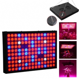 600w Full Spectrum Led Grow Light Hydroponisk Inomhus Veg Blomma Plant Panel Lampa