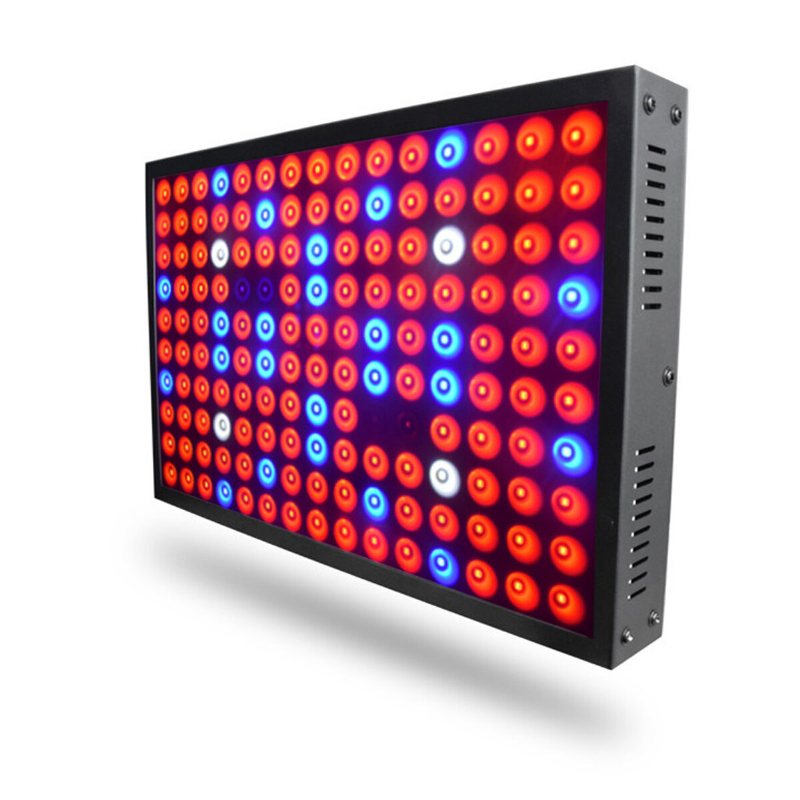 600w Full Spectrum Led Grow Light Hydroponisk Inomhus Veg Blomma Plant Panel Lampa