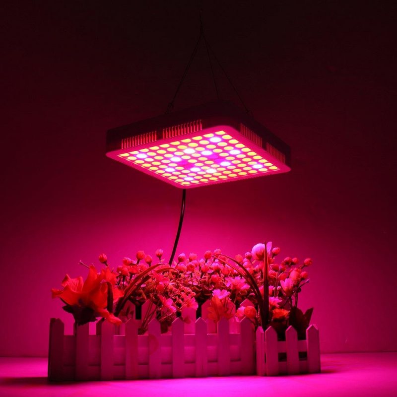 65w Led Grow Light Panel Lampa Full Spectrum Hydroponic Plant Growing Lights