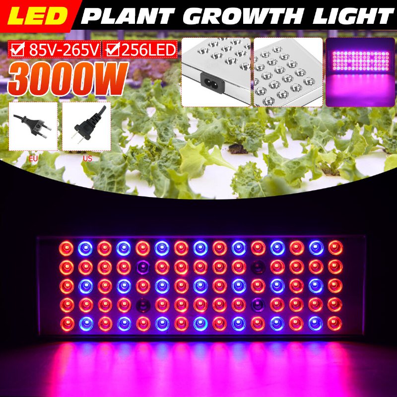 800w Led Grow Light Full Spectrum Växt Lampa För Hydroponics Veg Indoor