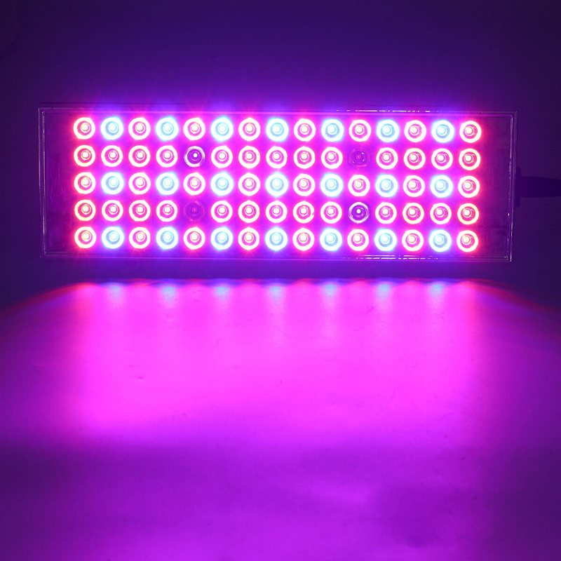 800w Led Grow Light Full Spectrum Växt Lampa För Hydroponics Veg Indoor
