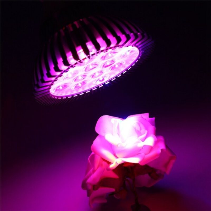 9w 12 Led E27 Röd Blå Grow Lamp For Hydroponics Blommor Växter Grönsaker
