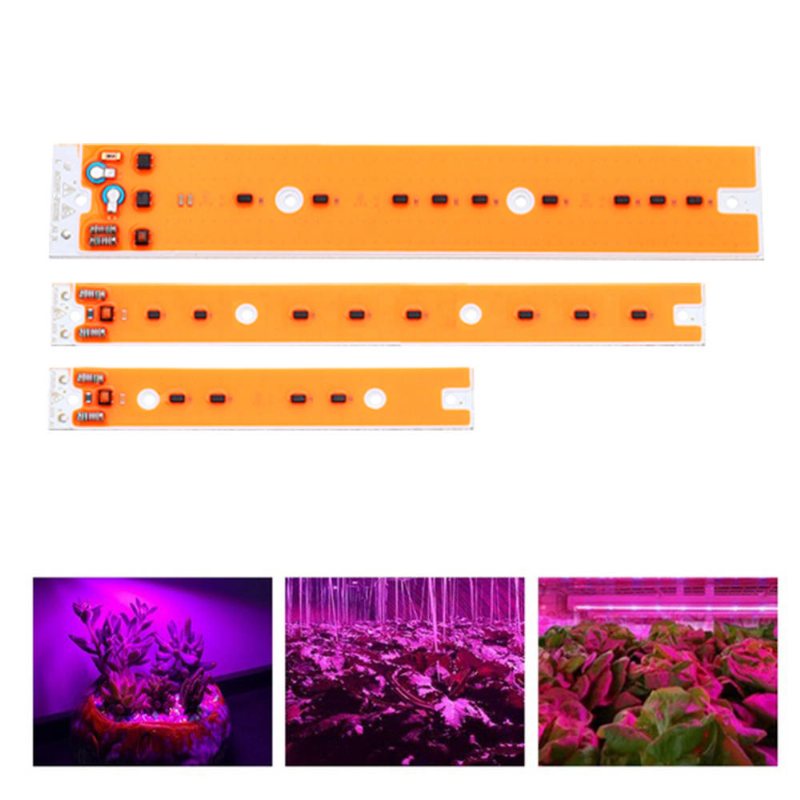 Ac110v/220v 30w 50w 80w Full Spectum Led Cob Chip Grow Ljuskälla För Flood Jod-volframlampa