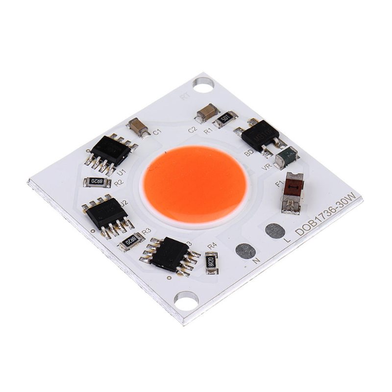 Ac220-240v High Power 30w Full Spectrum Cob Led Grow Light Chip För Strålkastare