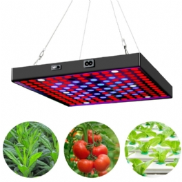 Ac85v~265v 81led/169led Full Spectrum Grow Light Plant Med Upphängningssats För Växthusgårdar