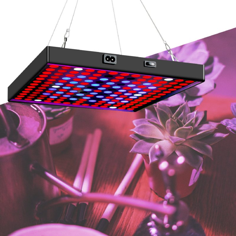 Ac85v~265v 81led/169led Full Spectrum Grow Light Plant Med Upphängningssats För Växthusgårdar
