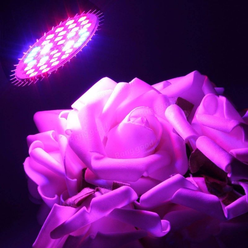 E27 15w Led Grow Lamp Plant 85-265v 800-1200lm