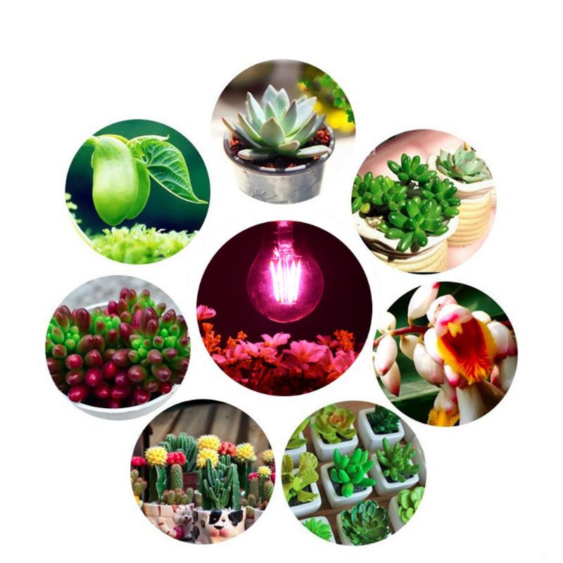 E27 B22 6w A60 Ej Dimbar Cob Led Plant Grow-glödlampa För Hydroponics Greenhouse Ac85-265v