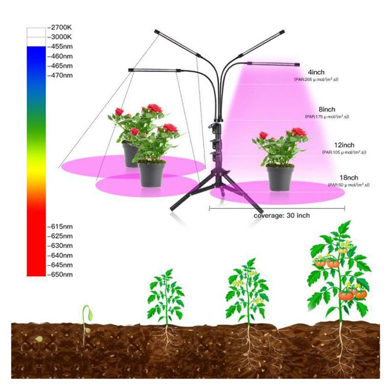 Fjärrkontroll 4 Heads Led Grow Light Plant Odling Lamp Lights Med Stativ För Inomhusväxter