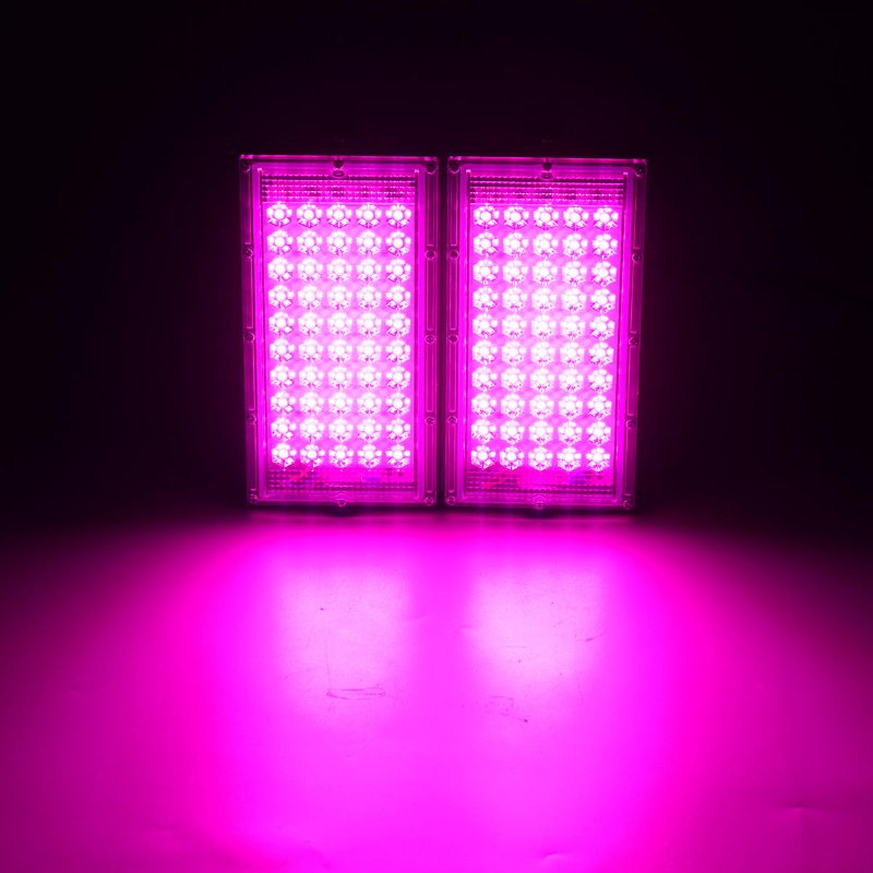 Full Spectrum 100 Led Grow Light Flood Lighting Lampa För Växter Grönsaker Och Blommor