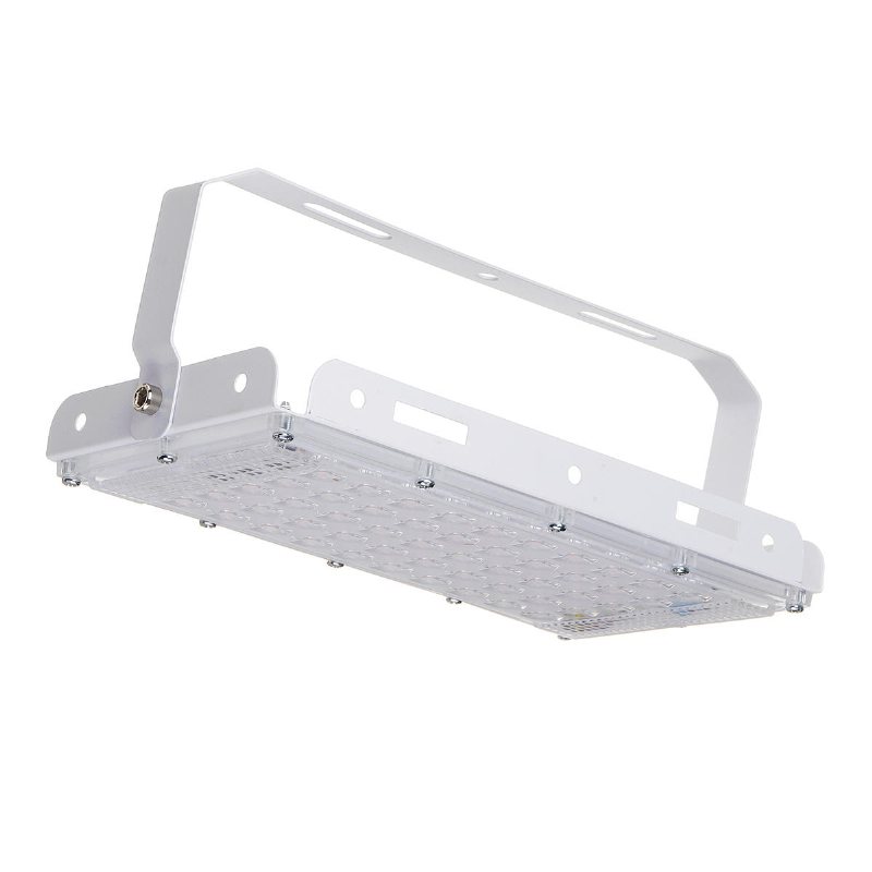 Full Spectrum 50 Led Grow Light Flood Lighting Lampa För Växter