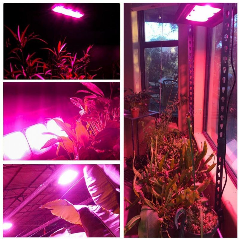 Relassy Cob Led Grow Lights 450w Outdoor Light Full Spectrum Plants Ljus Vattentät Naturlig Värmeavledning Inget Brus Led Panel För Inomhusväxter Växthusträdgård