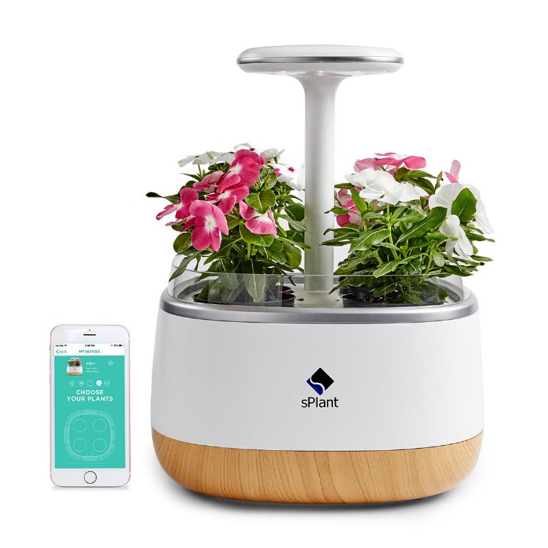 Splantera Smart Fresh Herb Garden Kit Intelligent Inomhusgrodd Led Light Fyra Blomkruka Med App-fjärrkontroll Självvattningsteknik