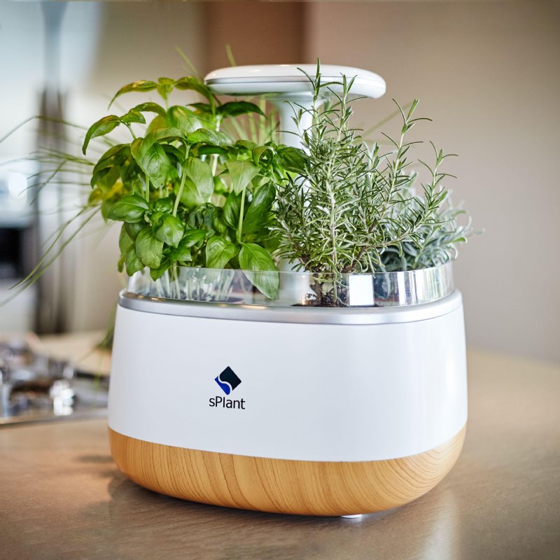 Splantera Smart Fresh Herb Garden Kit Intelligent Inomhusgrodd Led Light Fyra Blomkruka Med App-fjärrkontroll Självvattningsteknik