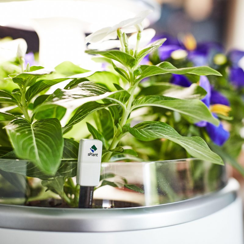 Splantera Smart Fresh Herb Garden Kit Intelligent Inomhusgrodd Led Light Fyra Blomkruka Med App-fjärrkontroll Självvattningsteknik