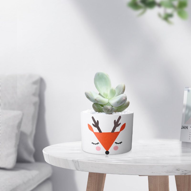 Suckulent Keramisk Blomkruka Selected Porslin Clay Glaze Anti-halk Rak Hållös