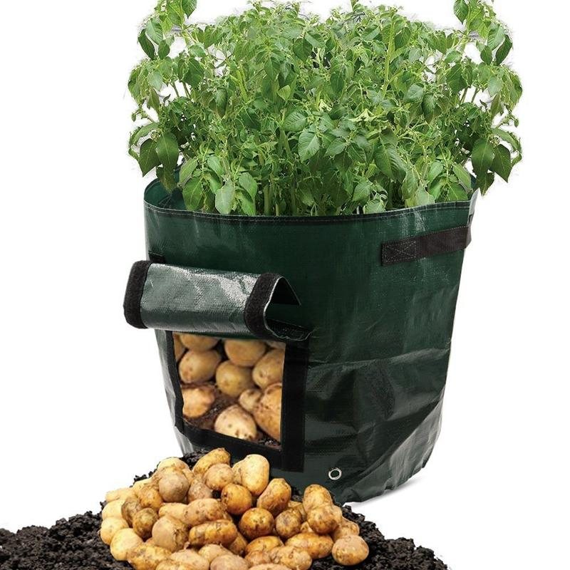 Utomhus Vertikal Trädgård Hängande Öppen Stil Grönsaksplantering Odlingspåse Potatis Jordgubbsplanteringspåsar För Att Odla
