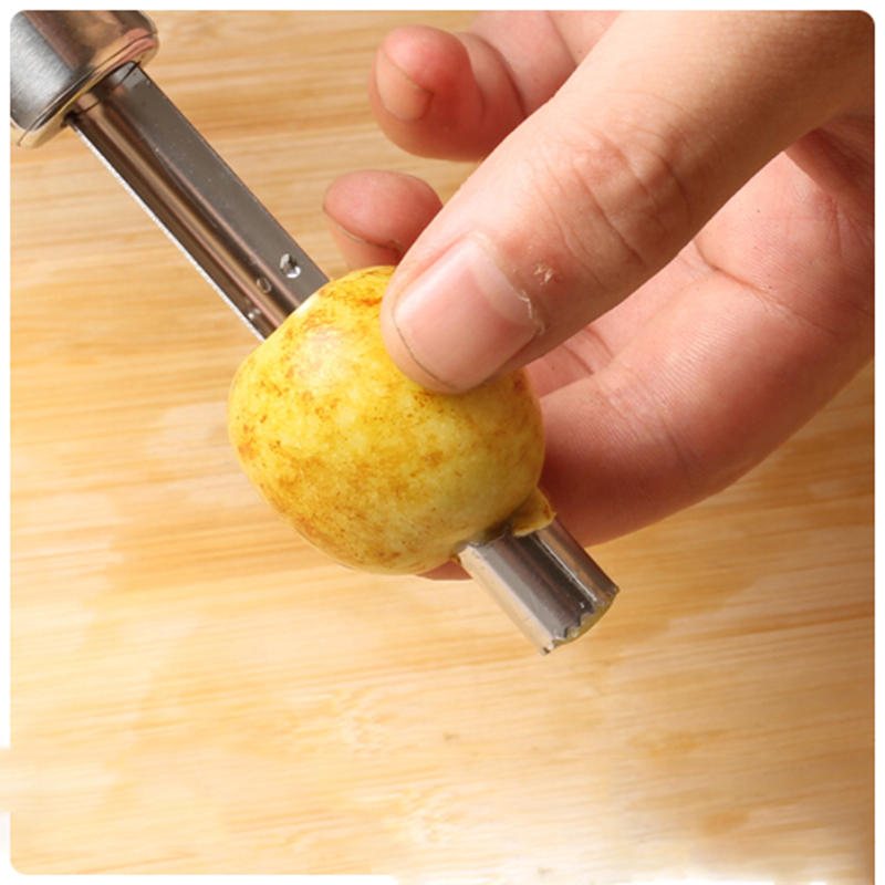 Rostfritt Stål Apple Core Remover Hagtorn Jujube Sydney Corer Fruktkärnningsanordning Grävverktyg Fruktstjälkar Skalare Go Nuclear