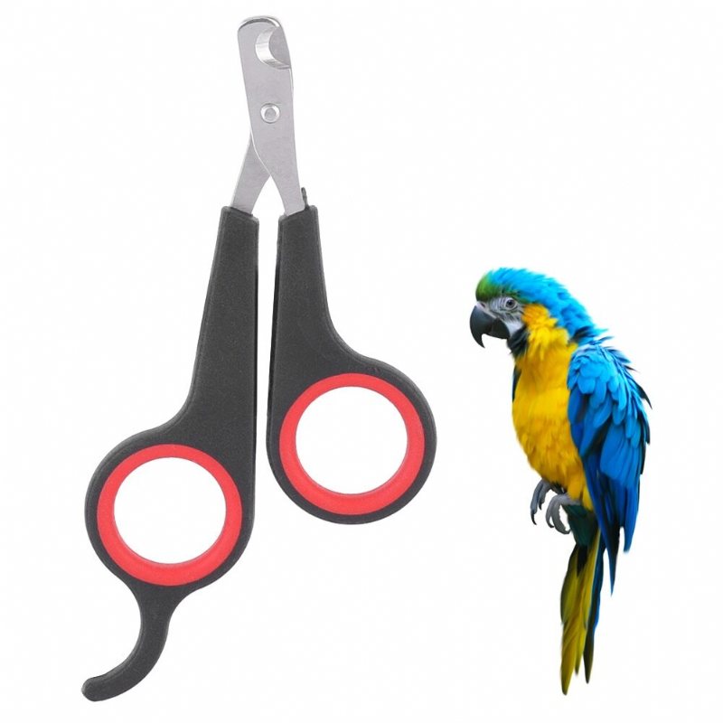 Fågel Nagelklippare Parrot Grooming Tool