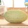 Cantaloupe