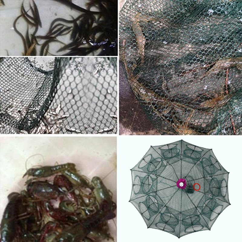 4/6/8/10/12/16/20 Hål Automatisk Fiskefälla Vikbart Nylonfisknät För Fisk Ål Krabba Räkfälla