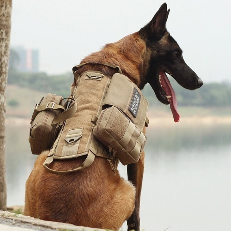 600d Nylon Taktiska Hundvästar Militära Hundkläder Med Förvaringsväska Träning Lastbärande Sele