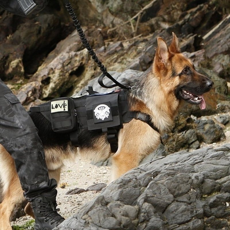 600d Nylon Taktiska Hundvästar Militära Hundkläder Med Förvaringsväska Träning Lastbärande Sele