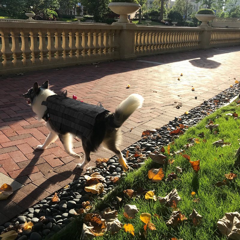 Hundväst Träning Taktisk Army Hundtejp Militär Hundkläder Bärande Sele Utomhusträningskoppel