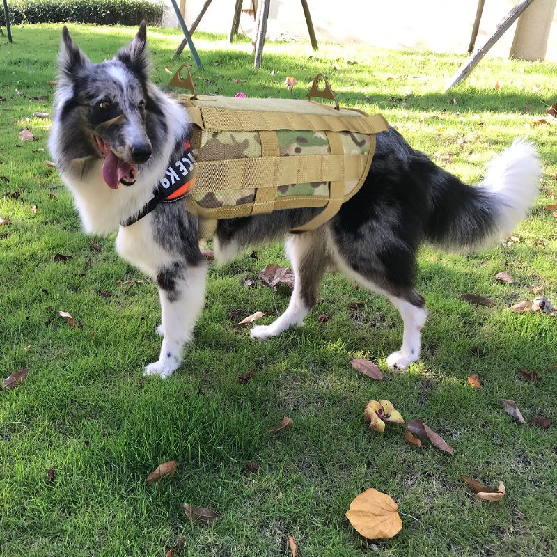 Hundväst Träning Taktisk Army Hundtejp Militär Hundkläder Bärande Sele Utomhusträningskoppel