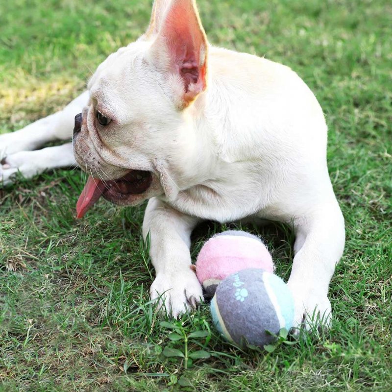 Pet Dog Tennis Chasing Training Roller Ball Leksaker Form