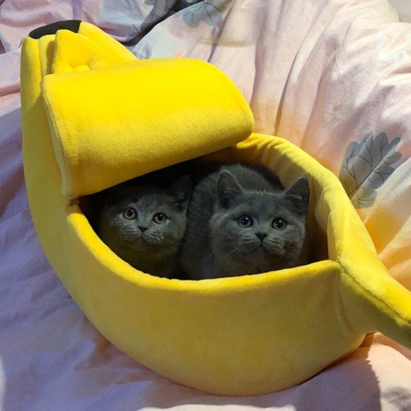 Cat Kennel Soft Cushion Warm Sleeping Bed House