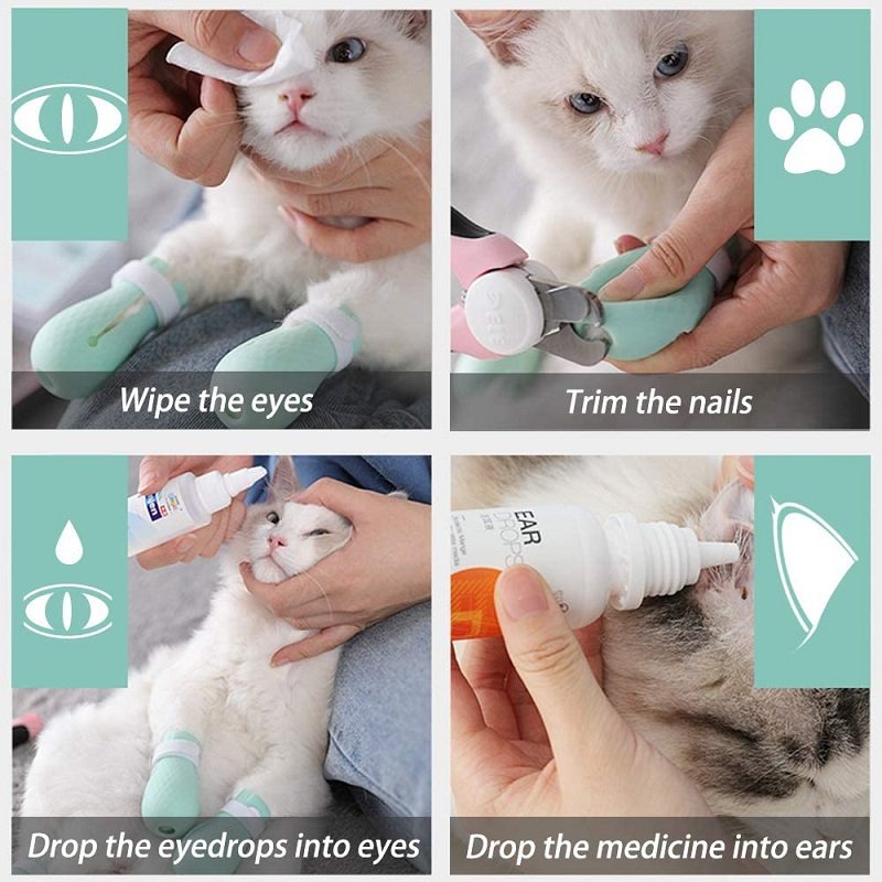 Cat Paw Boots Justerbart Anti-skrapskydd