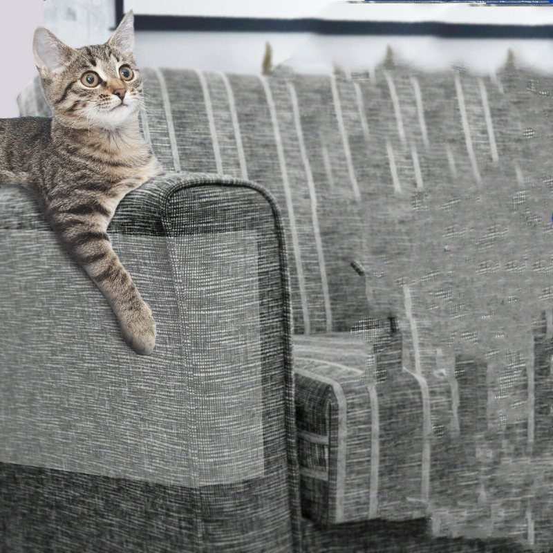 Focuspet Möbelskydd Från Cats 6st Cat Scratch Avskräckande Tejp Anti-scratch Cat Dubbelsidig Anti För Katter | Möbel Soffdörr Bordsbensskydd