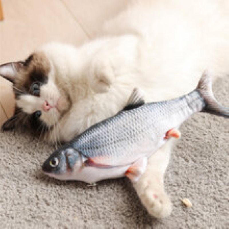 Jeteven Katt Clownfisk Karp Med Kattmynta Laddningskabel Valp Leksak Husdjurstillbehör Hund Leker
