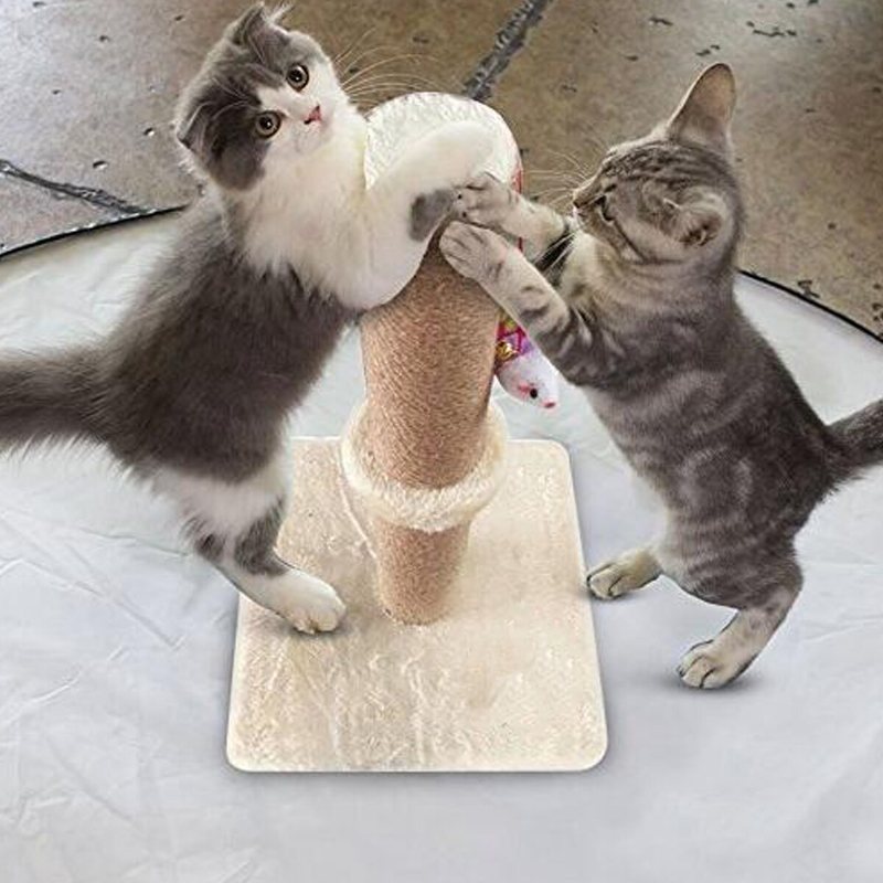 Kattskrapstolpe Kattinteraktiva Leksaker Med Leksak Katter Kattungar Hamparep Kattskrapa