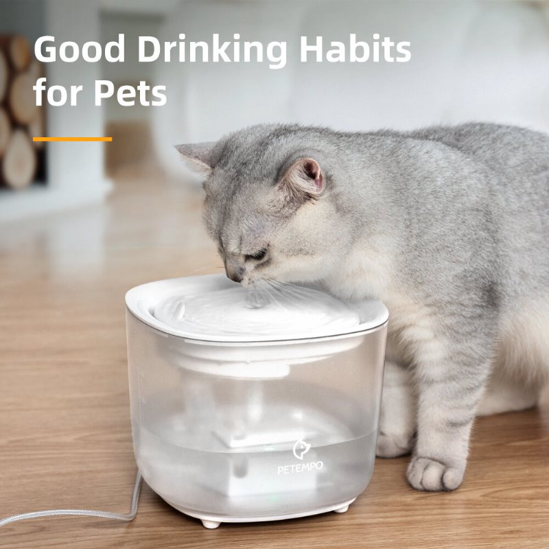 Petempo Kattvattenfontän Trådlös Med Led-ljus 2l Ultratyst Kattvattendispenser Automatisk Katthundsvattenfontän Med Vattennivåfönster