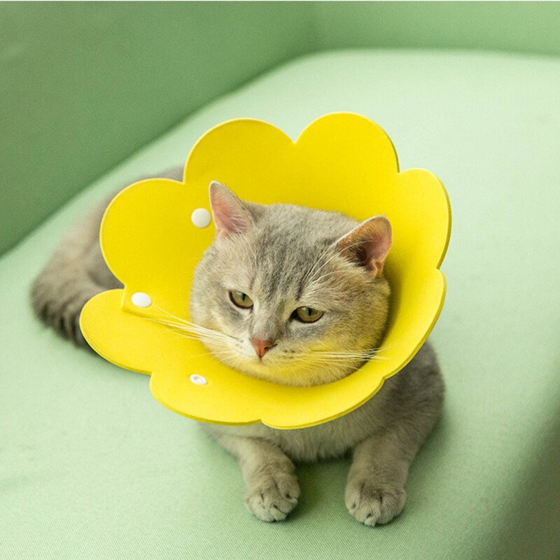 Solros Katt Elizabethan Neck Skyddskrage Anti Bite