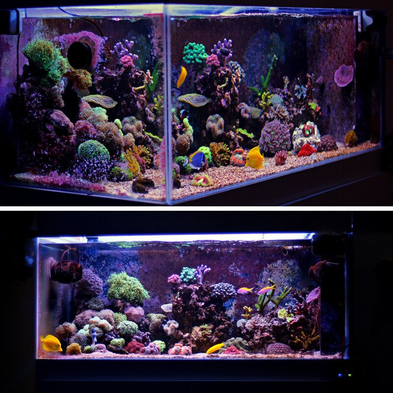 32cm 24led Rgb Aquarium Fish Tank Light 2 Lägen Dubbel Dränering Vatten Gräs Lampa