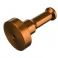 Gyllene