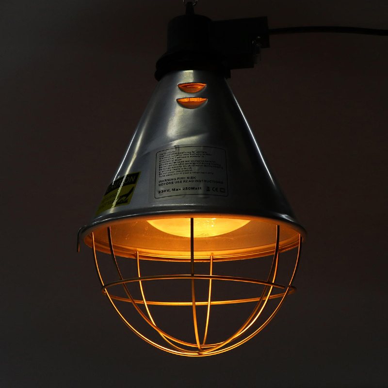 Ac240v 250w E27 Fjäderfä Heat Incubator Lamp Cover För Chicks Valpar